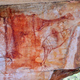 Image for article titled Ancient painting of the giant bird that roamed Australia 40,000 years ago